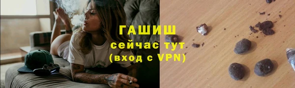 гидра Арсеньев