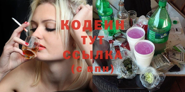 гидра Арсеньев