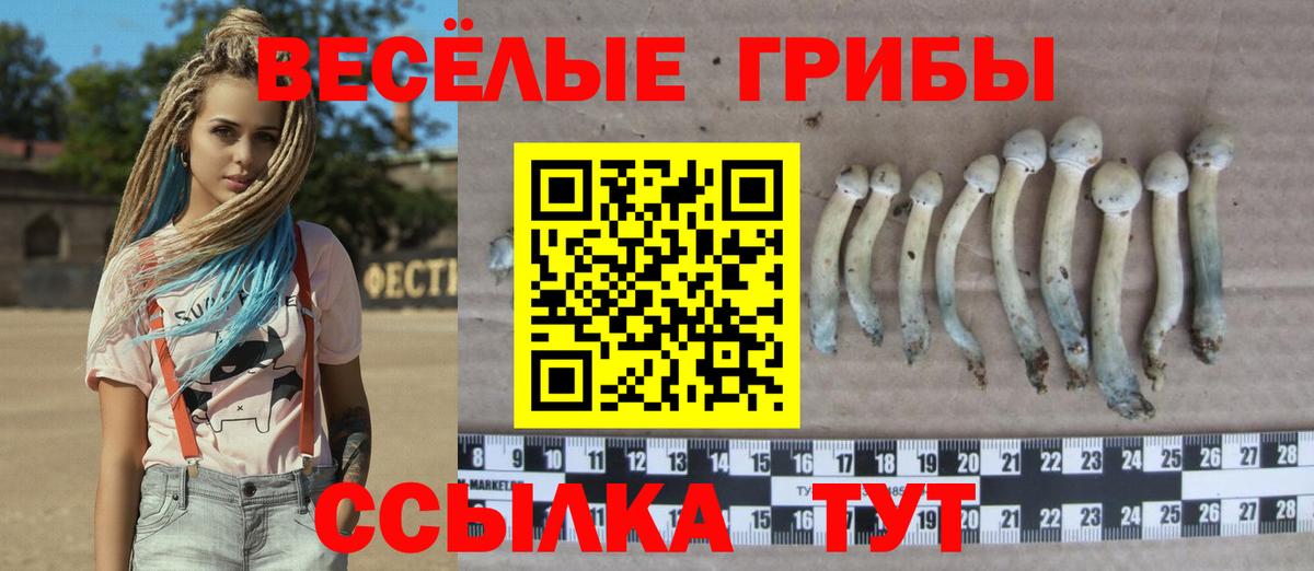 Псилоцибиновые грибы мицелий Балабаново
